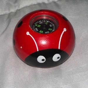 Little ladybug compass